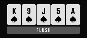 Flush poker hand infographic